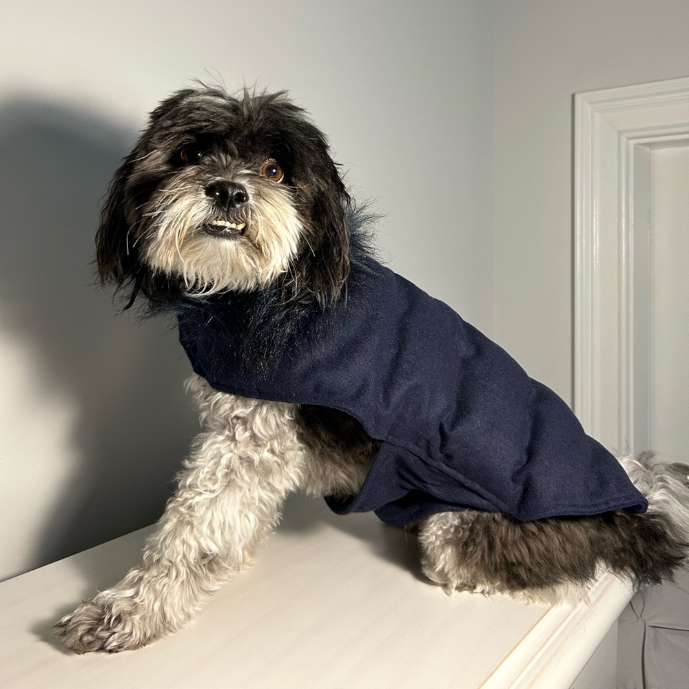 Small Dark Blue Dog Puffer Jacket